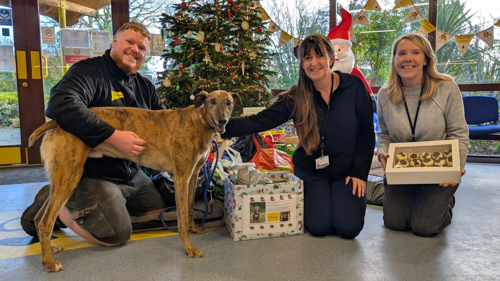Coming Together for Dogs Trust: A Team Effort To Help Dogs in Need